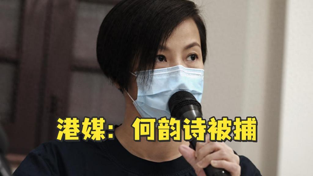 “港独”明星何韵诗，跑到瑞士日内瓦联合国会场大放厥词，想叫把中国除 名，看看她现