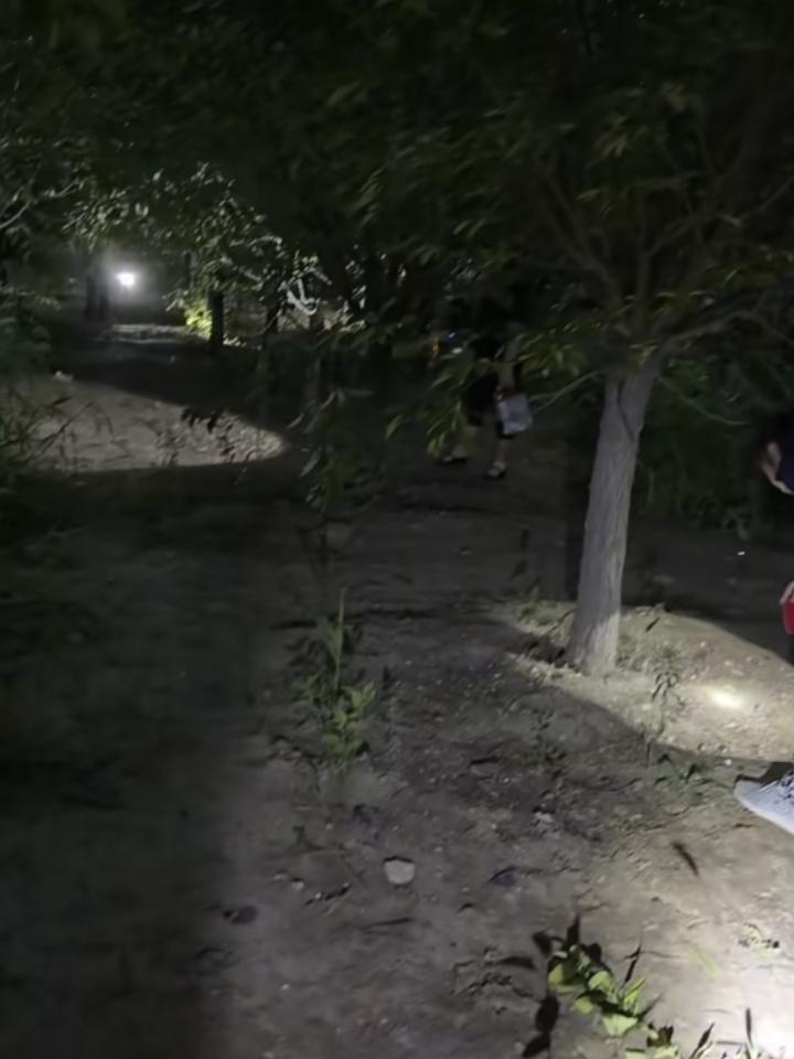 逮爬叉——山东人的执念！
天一擦黑，不顾树林里蚊虫叮咬，湿热难耐，手拿各种照明神