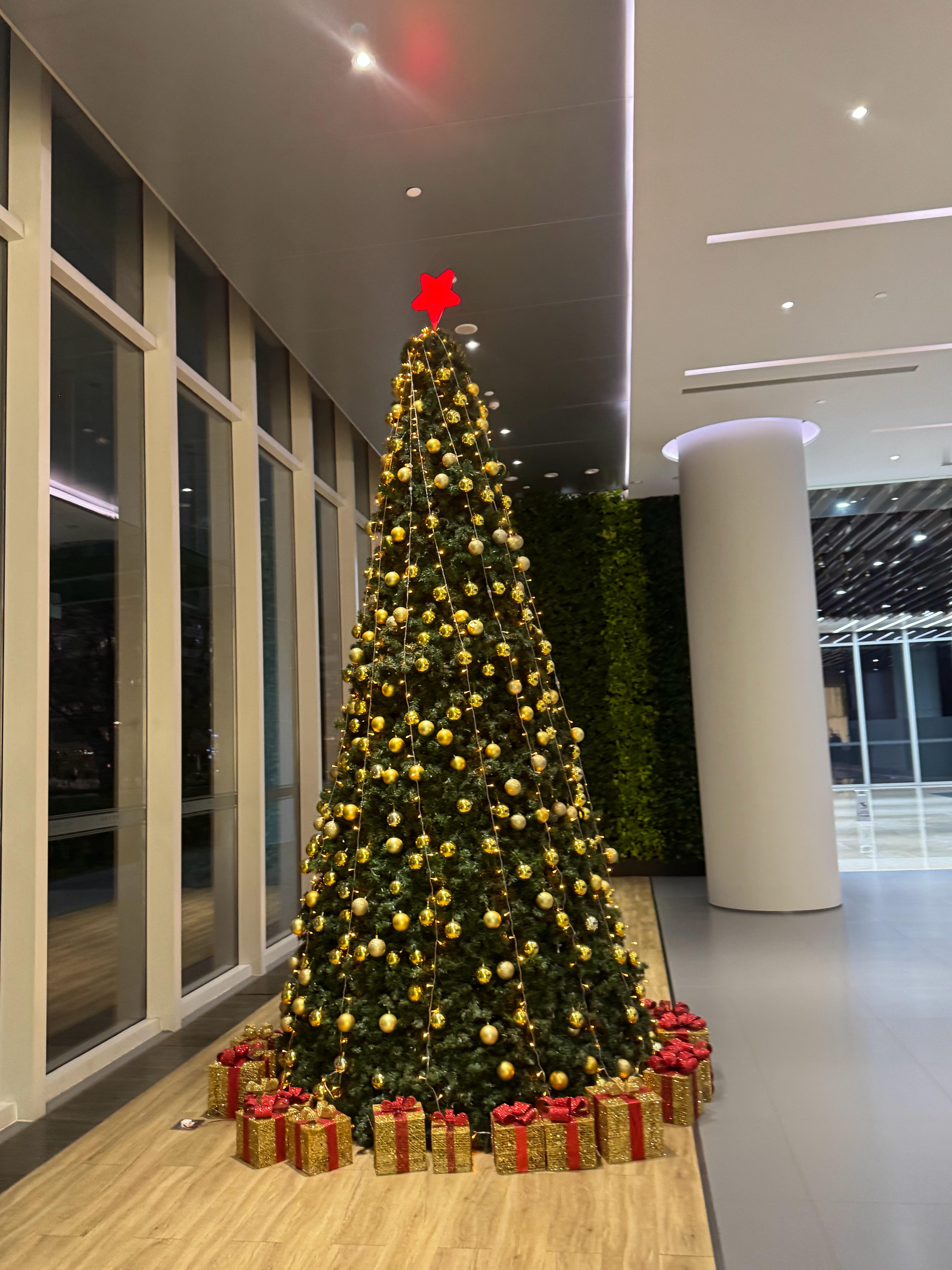 圣诞快乐 🦌🦌🦌🎅🎁🎁🎁李楠说道李楠说道 北京