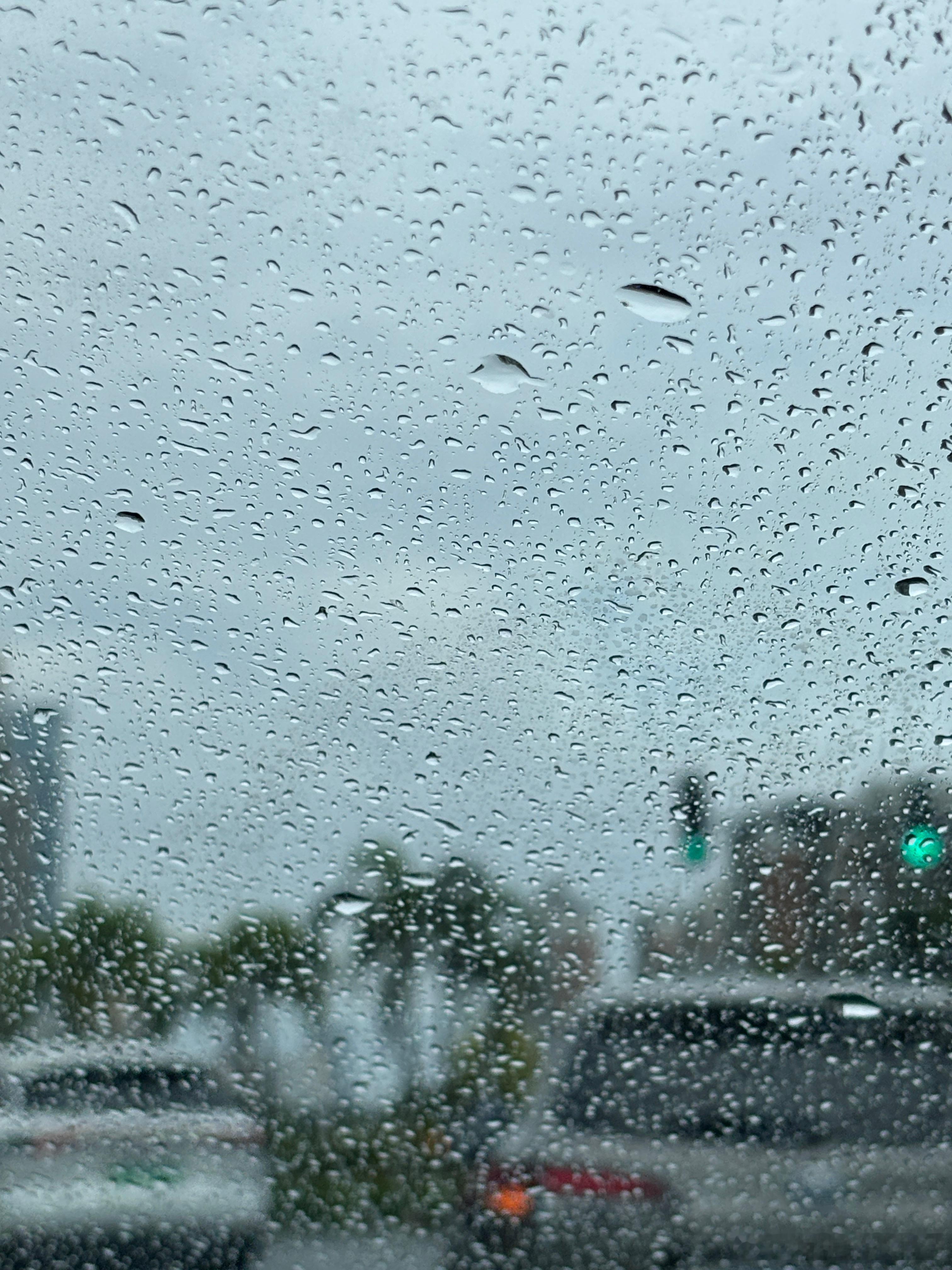 绵绵细雨中赶回，心中无碍，便是好时节！ 