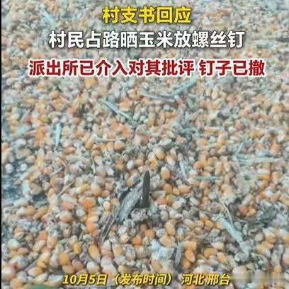 河北邢台，一条村庄的公路，被村民霸占了，晒了玉米。为了防止路过的车辆把他的玉米给