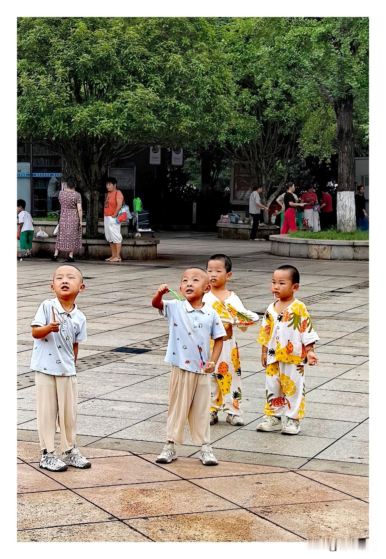 《两两双胞同框》
如今，两两双胞同框的场景愈发鲜见。与此同时，随着经济持续发展，