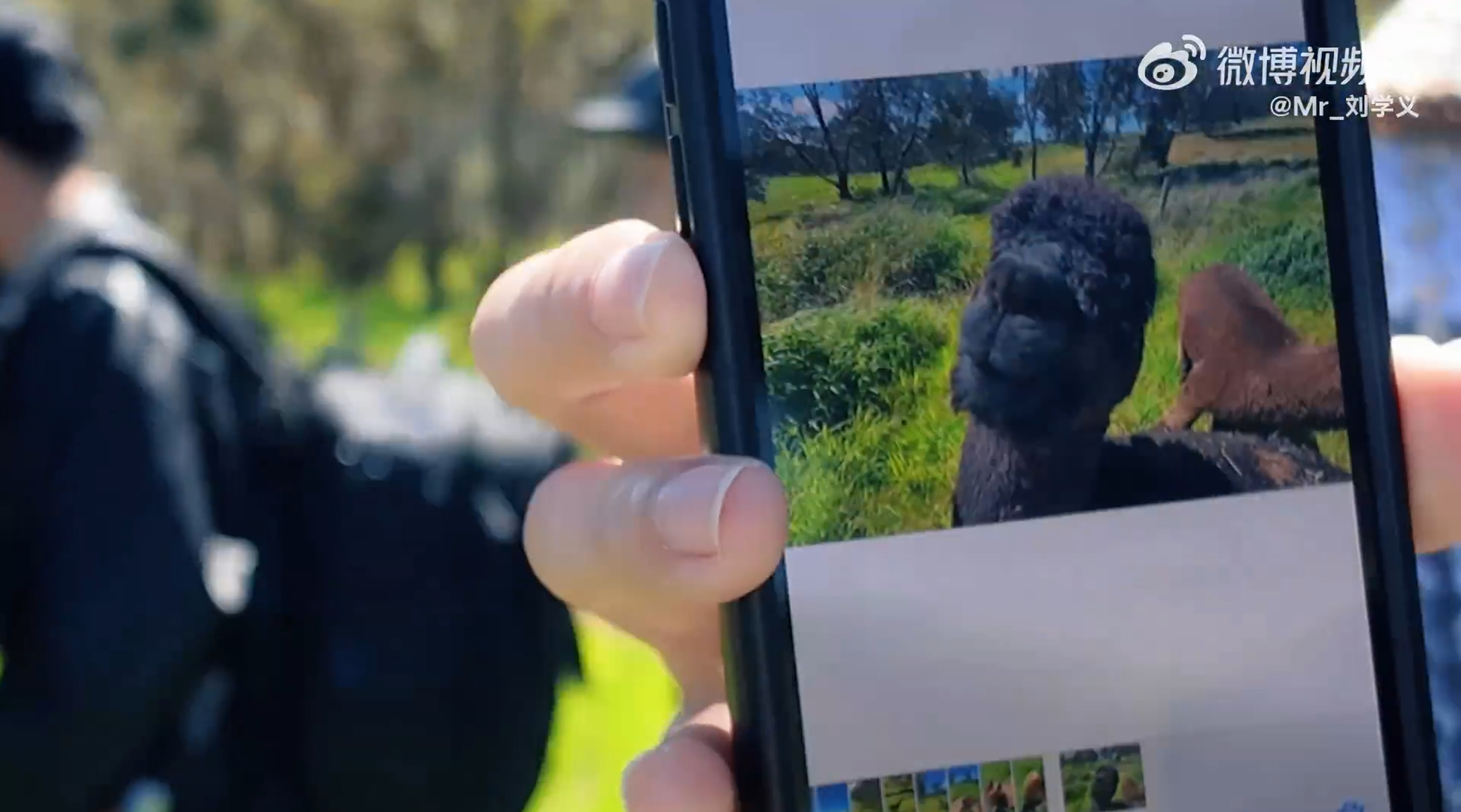 这相册真干净啊 一张自拍都不给我留