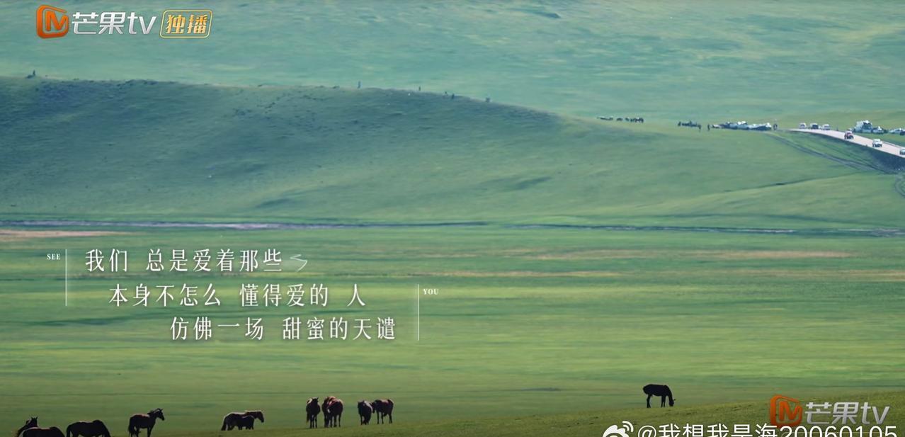 “我们 总是爱着那些 本身不怎么 懂得爱的 人 仿佛一场 甜蜜的天谴”再见爱人的