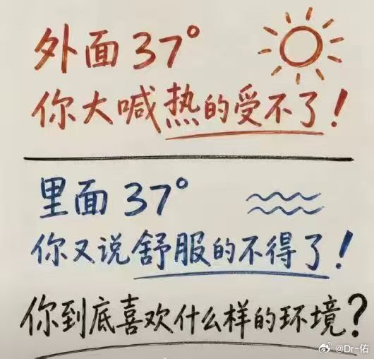 归于人海，归于生活，归于平静 