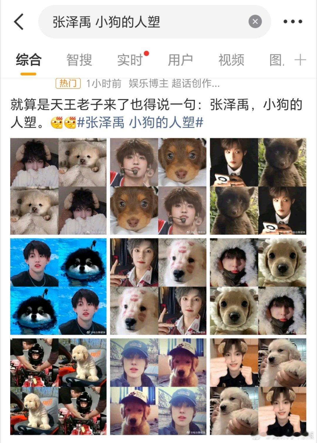 笑不行了，因为张泽禹新娃跟苏新皓的饼狗长得很像，为了否认抄袭给整了一个 小狗的人