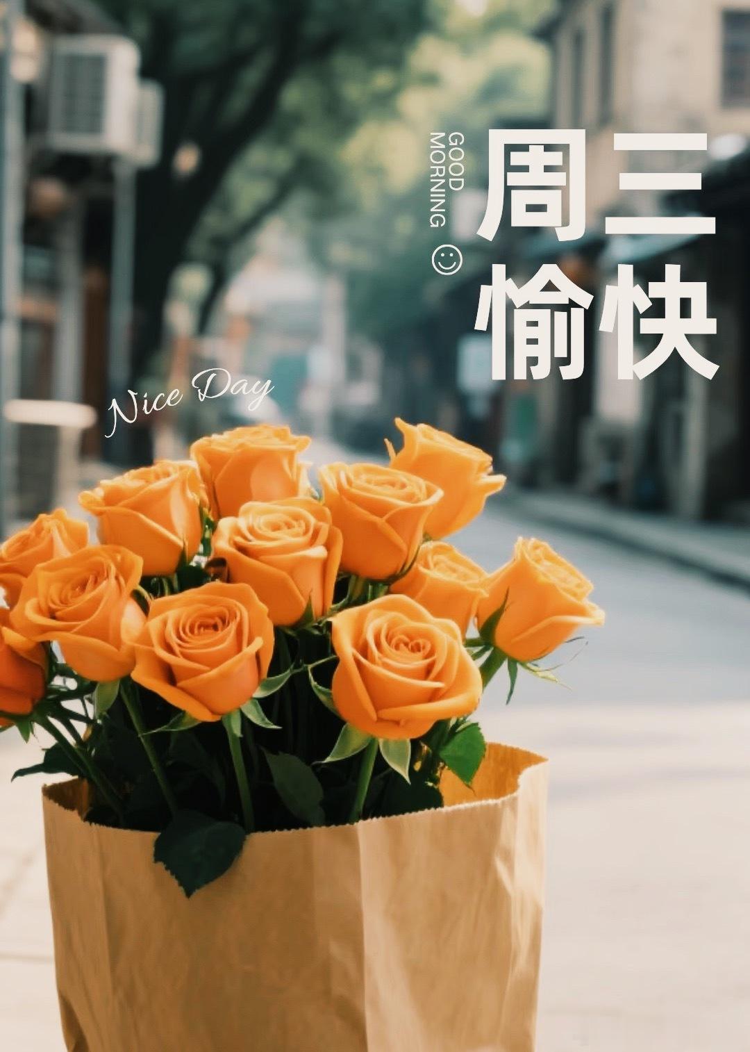 🌱清晨一声早安 自带满满活力 万事皆顺意 