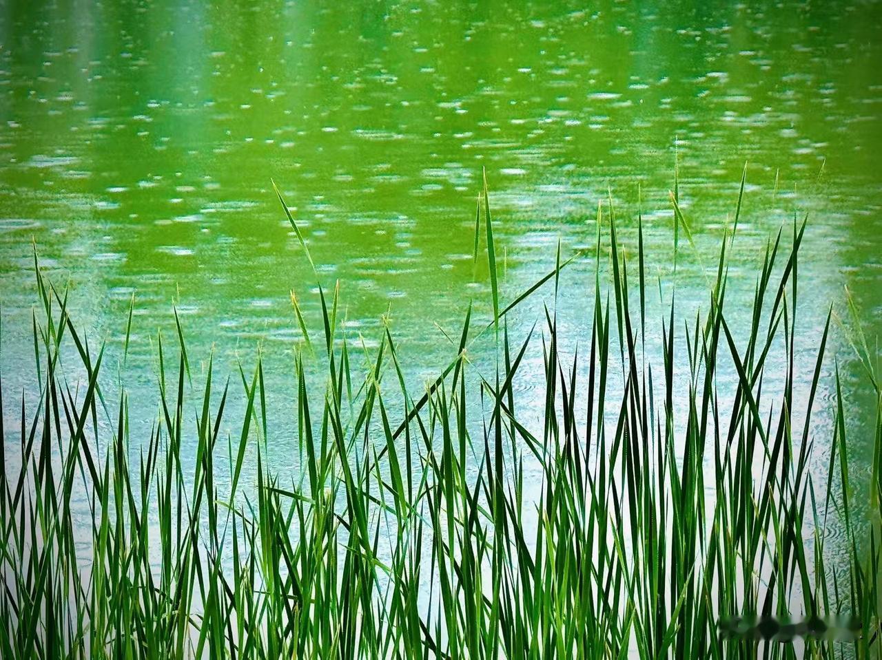 一路跋涉到天明
            （原创）


尘世匆忙
一生的奔波
有疲