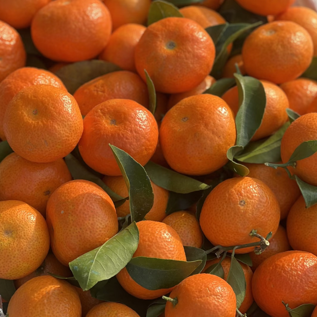 全国过年统一姿势狂炫砂糖橘然后把指甲弄得很黄