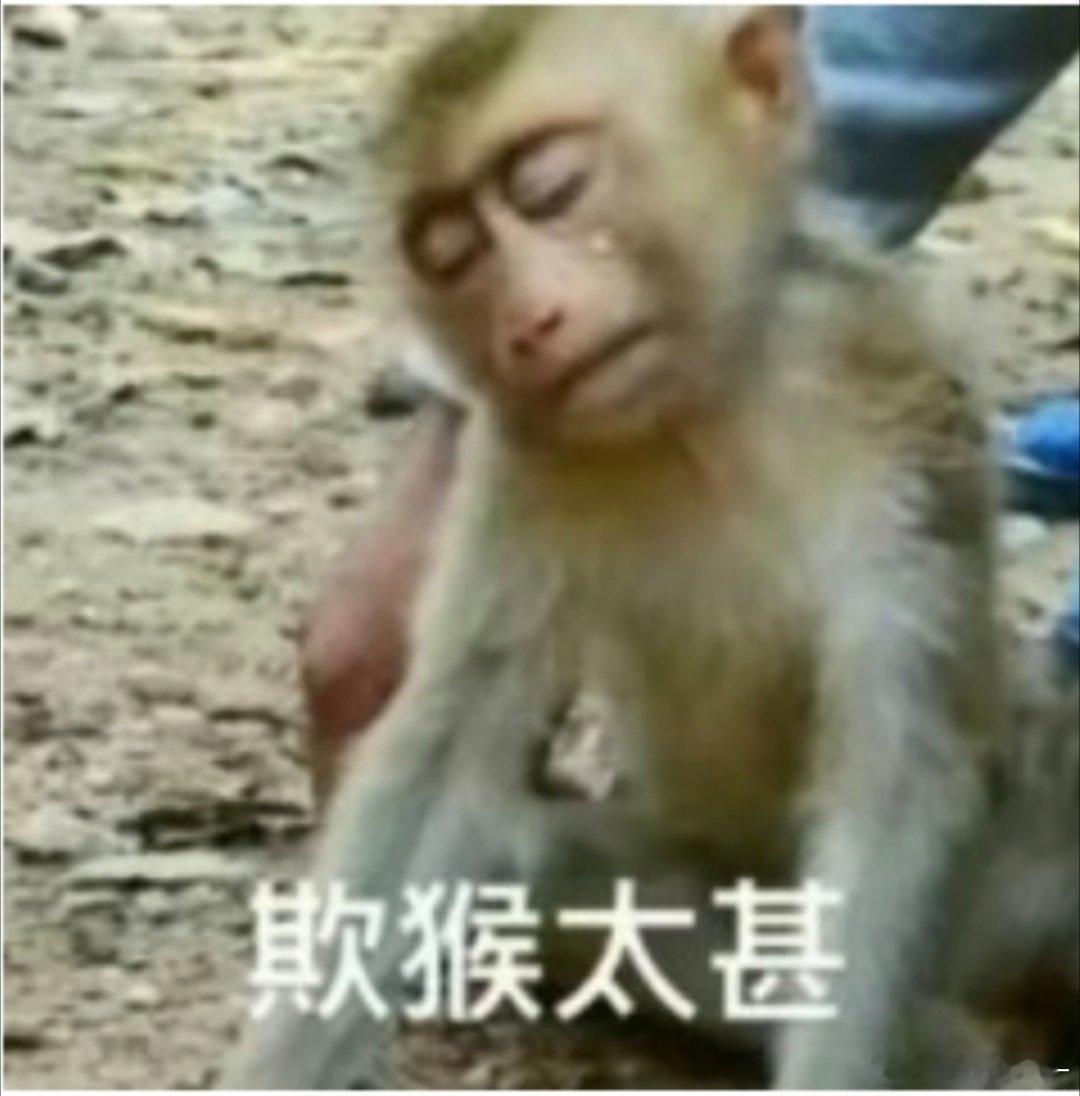 你们这些不带王橹杰付彬言🩵 付彬言 的人简直 