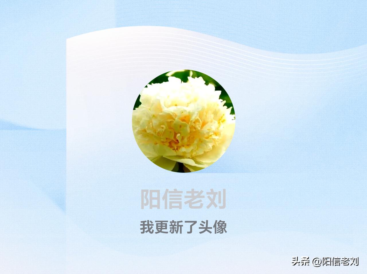 快来看看我新换的头像吧