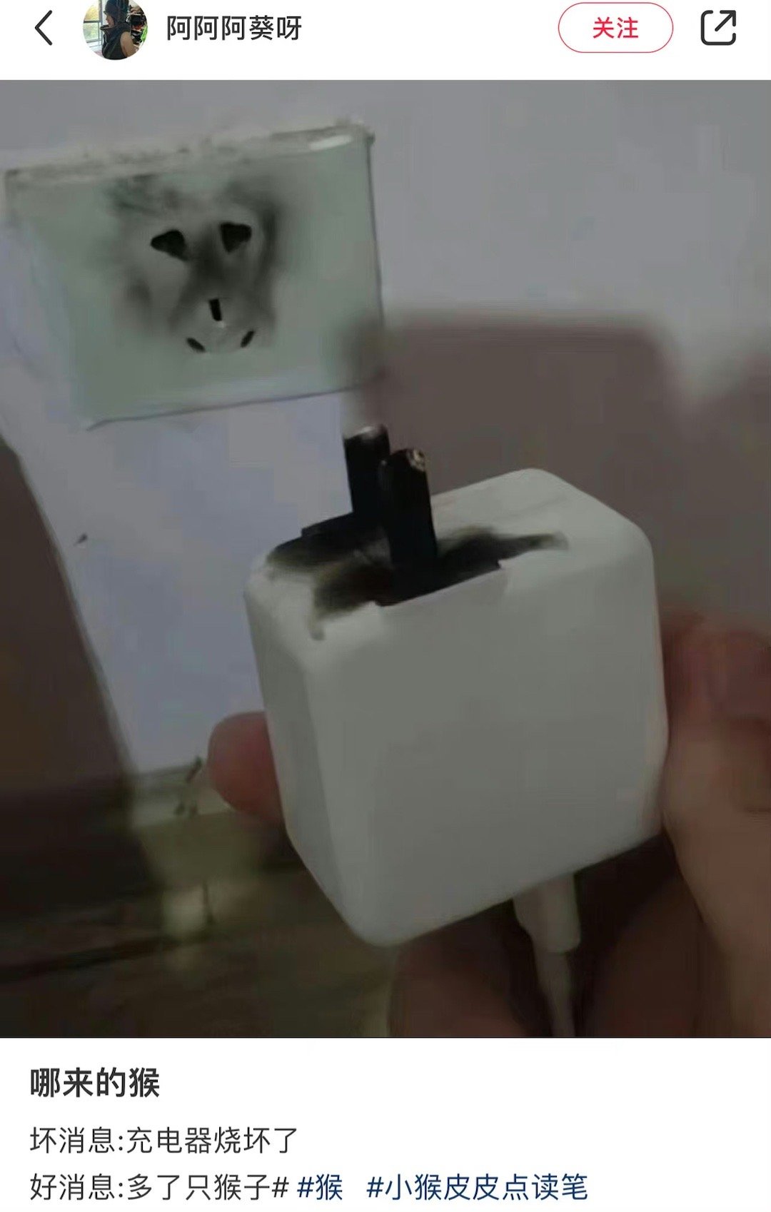 笑死我了哪儿来的猴 ​​​