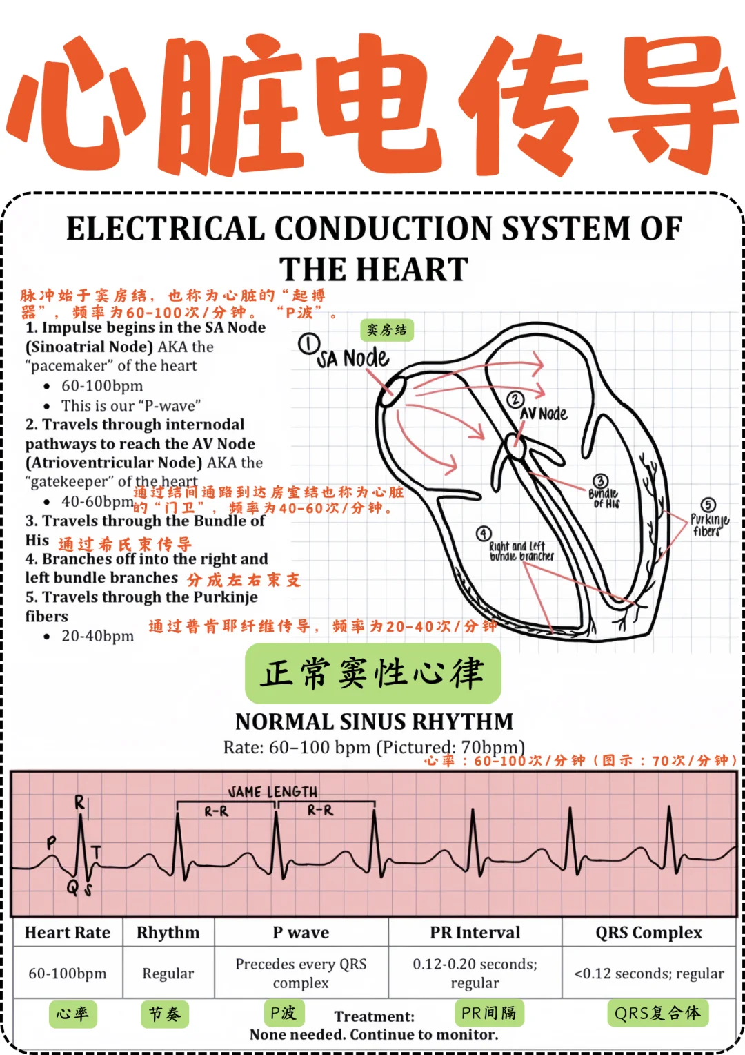 备考RN/心脏电传导！！学！！单词