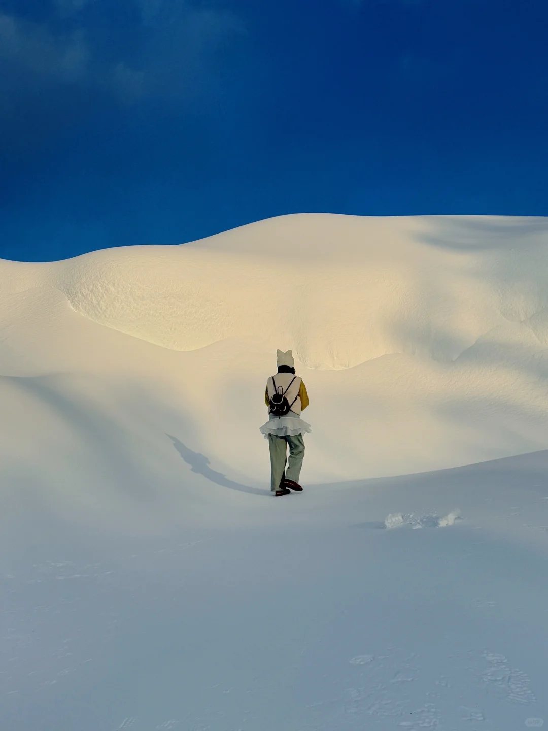 净月的雪山啊 替我自由🏔️❄️
