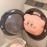 江蕨品品音乐