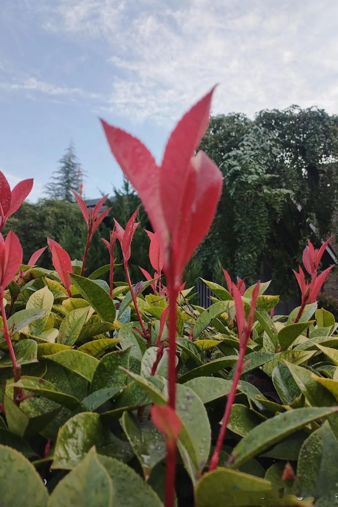 都说写头条辛苦！
实则，写头条辛苦的并非你，
而是你笔下的文字。
当你留下连篇累