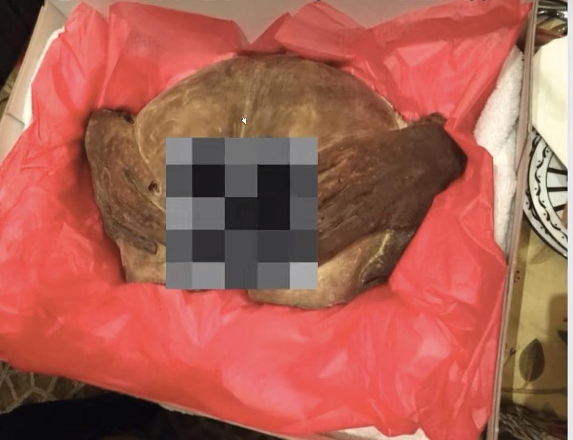 我从来没有想过，有一天，我真的会不得不讨论“吃人”这个话题。之所以说是“不得不”