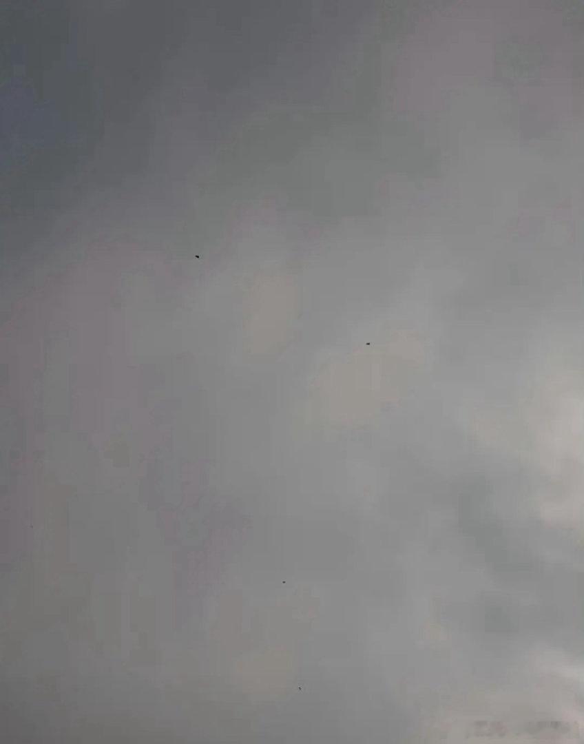 tg 🍖 🐷 🐱☔️ 已经在空中 