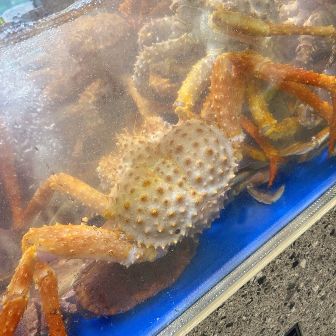 🦀🦀🦀 ​​​