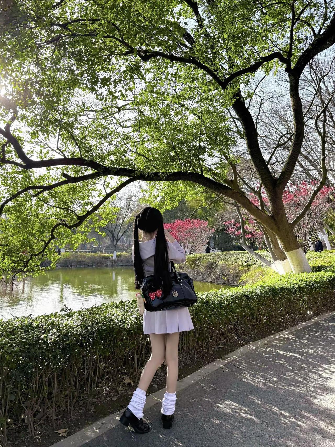 能否像棵树一样坚毅又盎然