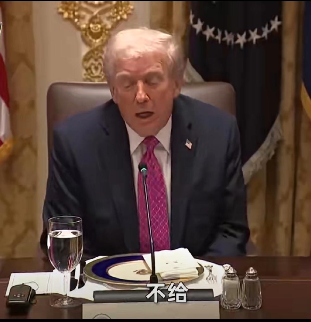 替泽连斯基总结一下到访白宫的感受：见到了美国各位大佬；品尝到了美式餐饮；看到了卢