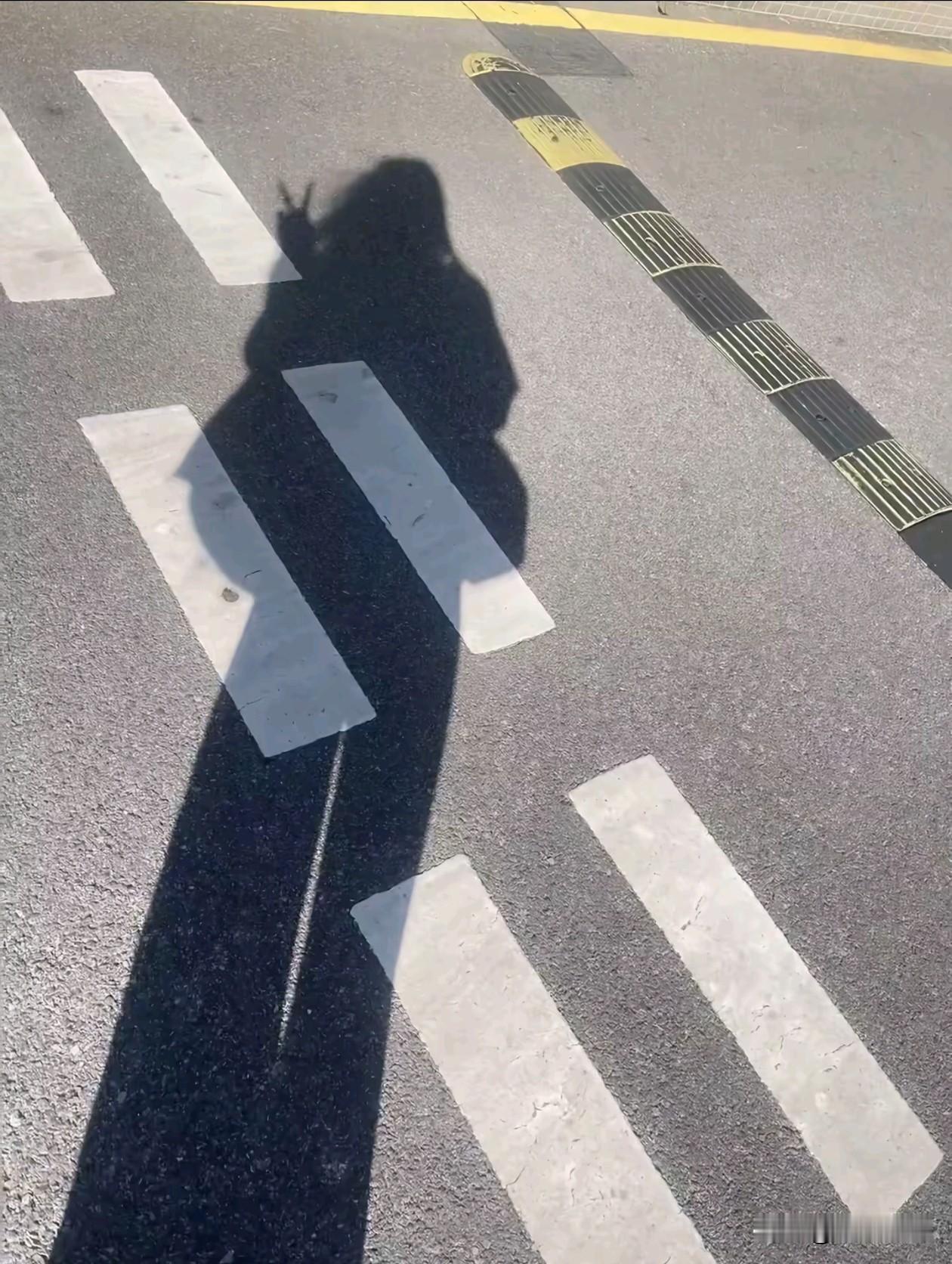 ᴳᴼᴼᴰ ᴹᴼᴿᴺᴵᴺᴳ

🌱 七月不必繁花万顷，
三餐安稳，岁月从容，便是最