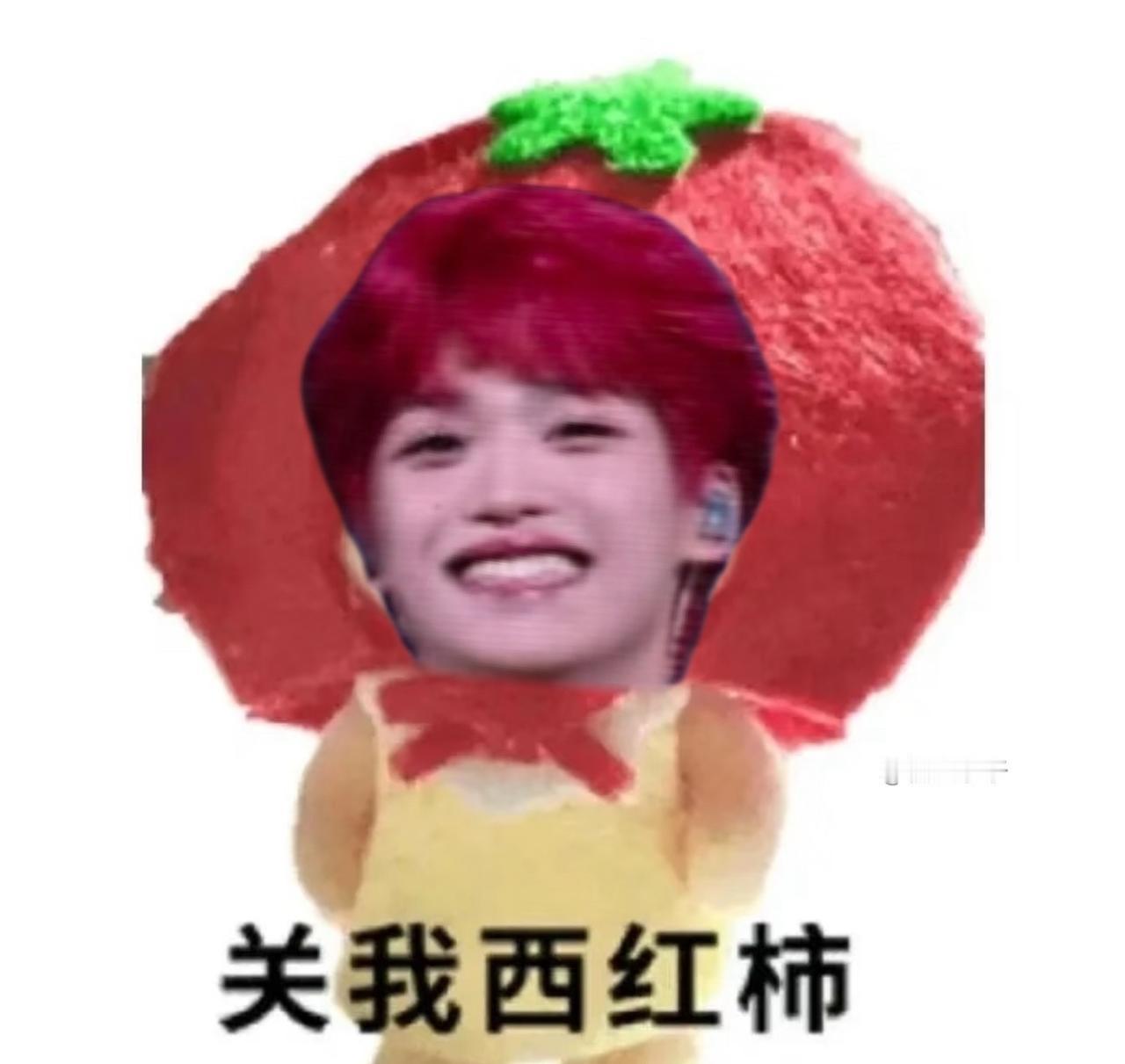 关朋西红柿 ​ 专栏 · 萌萌梗图 ​