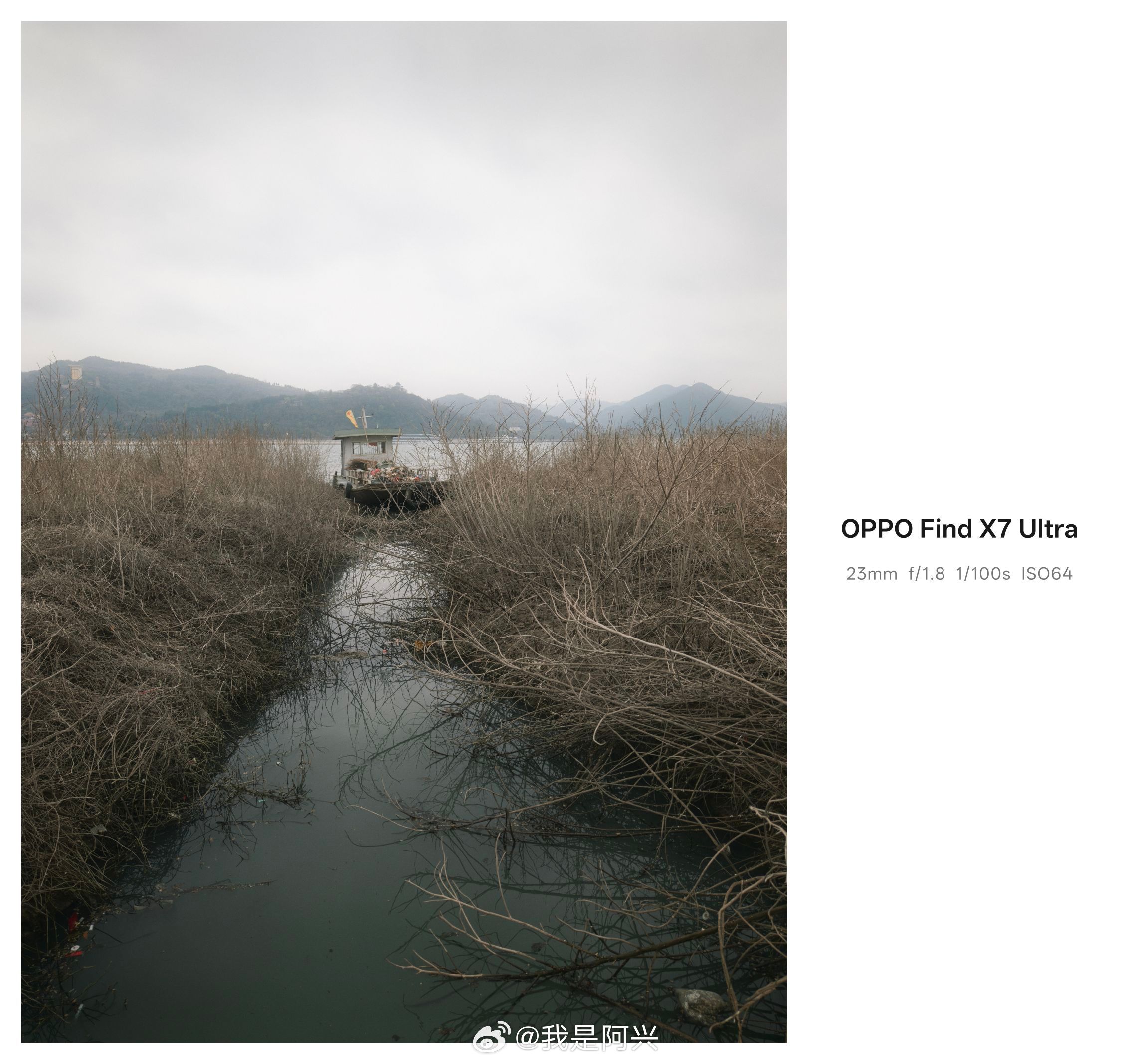 早☀️又是新的一周每日早起打卡