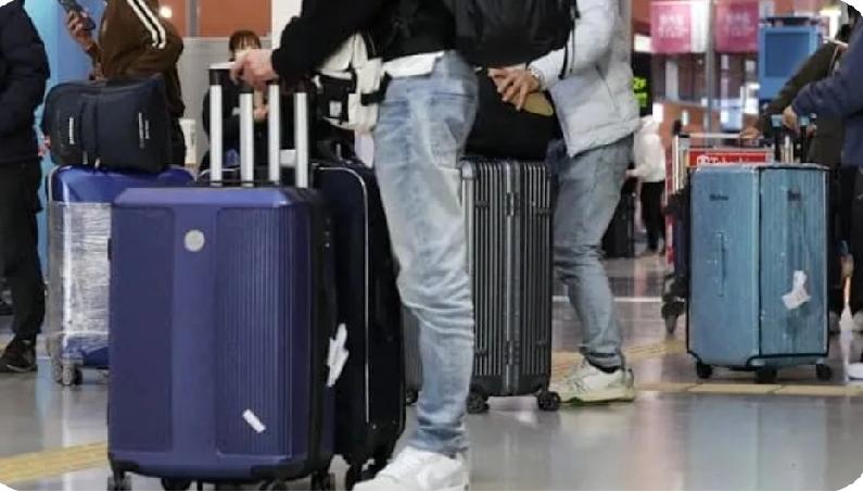 去日本的中国游客大幅减少啦！
快过年了，奈良公园还能看到游客和鹿互动。本来以为还