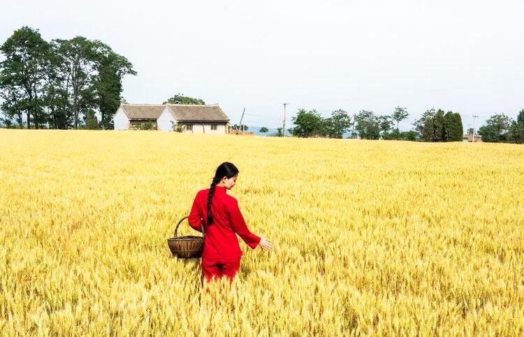 十三年前的脑出血，昏迷了三天三夜，也算有过濒死体验。

死亡对于我已经无所谓了。