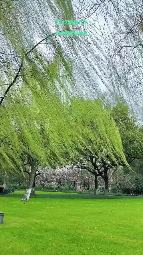 我的创意下联可以是：
1、柳线穿风成妙句[碰拳]梅魂浸雪化奇篇‌。
2、柳线穿风