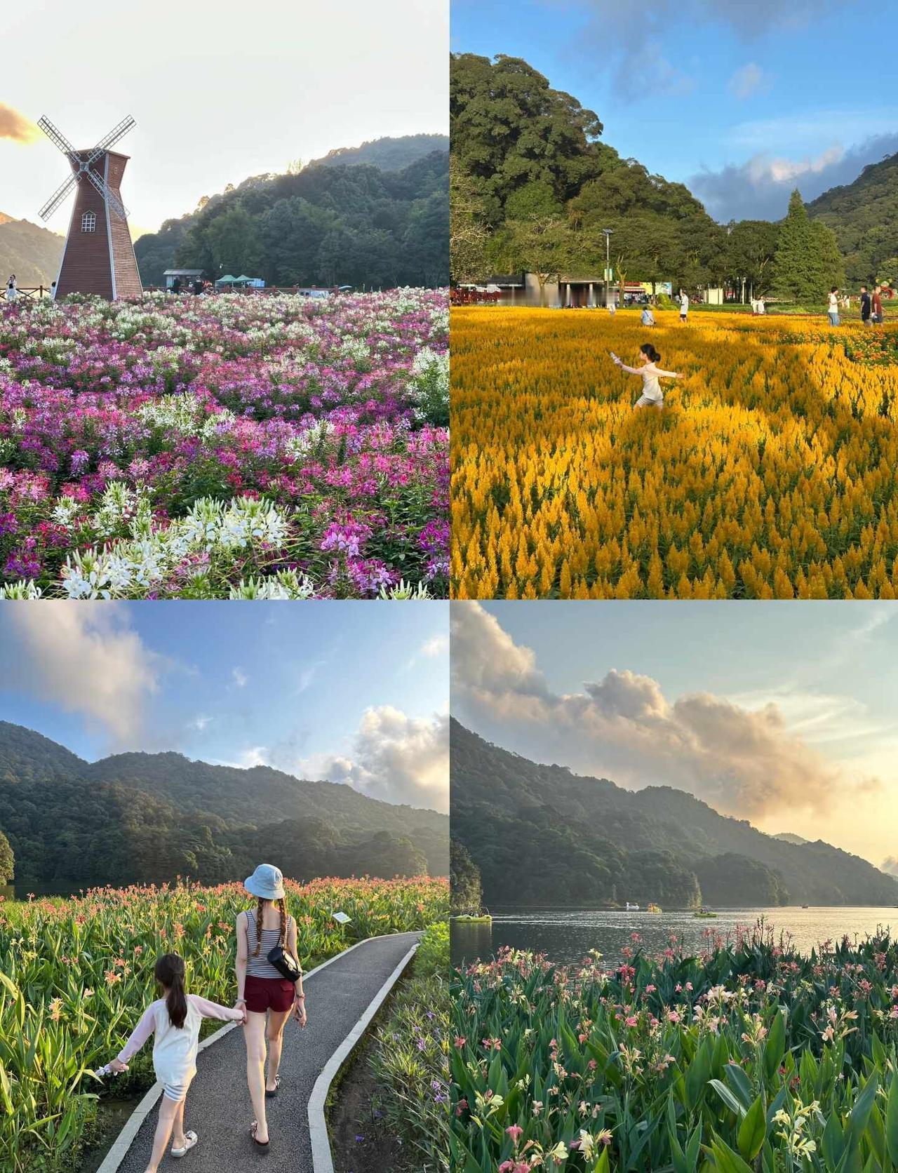 国庆的好去处：石门森林公园
懒人不费👣的吸氧好地
全程可自驾，还可以溯溪
亲子