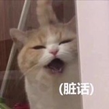 跳绳王爱说娱乐