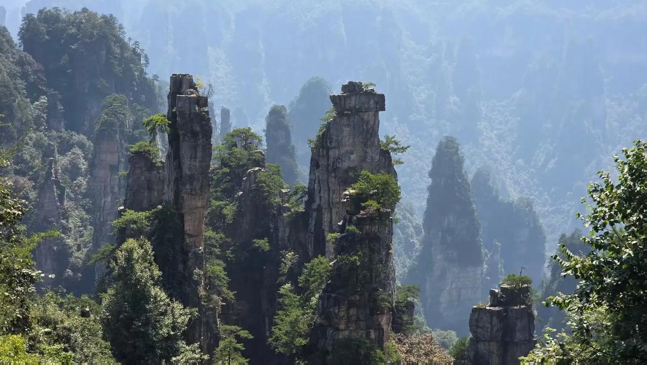 骊山旅友快乐行、湖南张家界：
  张家界的峰林地貌是大自然的鬼斧神工，每一处石柱