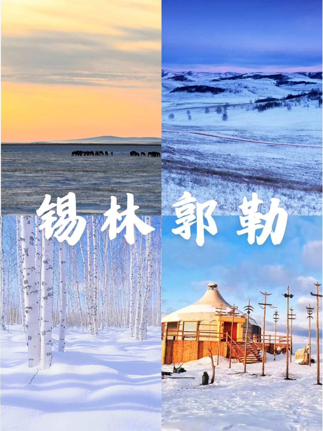 内蒙古冬游|💙锡林郭勒3天2晚游攻略🧊