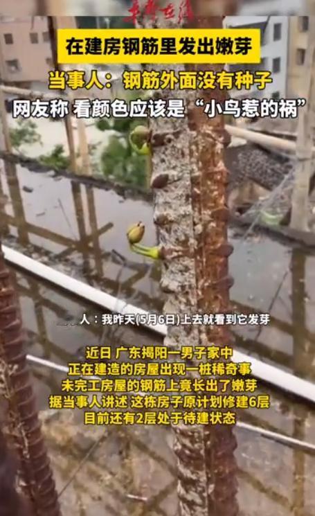 铁树开花！广东，男子想盖6层楼的自建房，结果盖到4层时，因为钱不够，就停工了。不