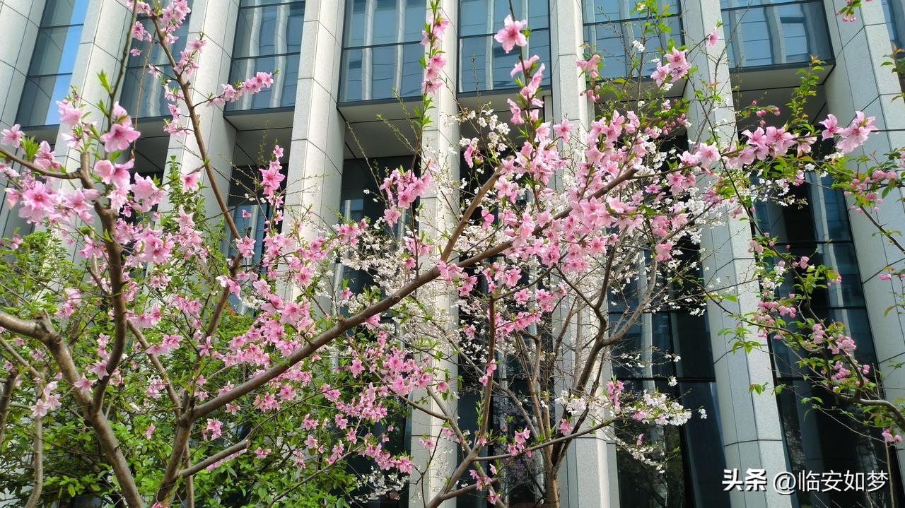 不会。
首先大部分人一年开车开不到1万公里，就算油价涨，实际上可能也就多花千把块