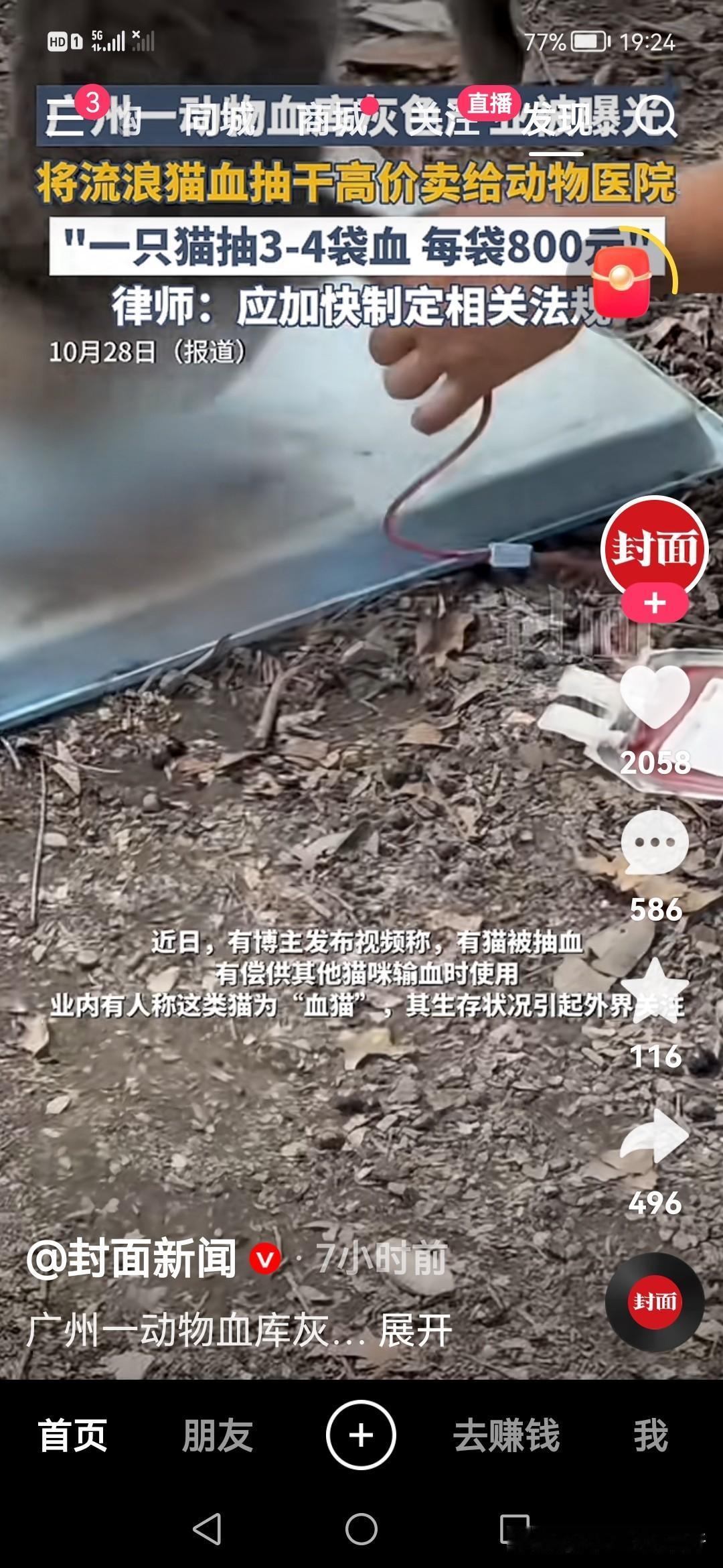 有些阴暗的人做的事无法想象

我都怀疑这是真的吗？为了赚钱抽流浪猫血卖给宠物医院