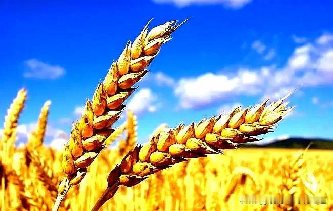 有人说“努力必定成功”你赞同吗?
        这个观点有点笼统，必须看前置条