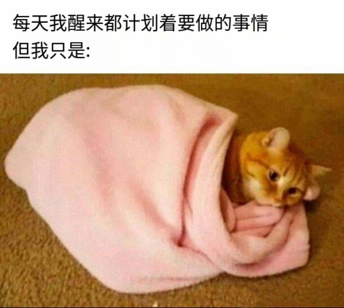 #meme##me_irl# ​​​
