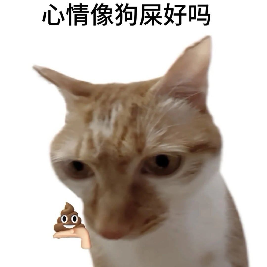 怎么办真的不喜欢马雷斯卡，调理不好根本调理不好新球衣都不能让我快乐
