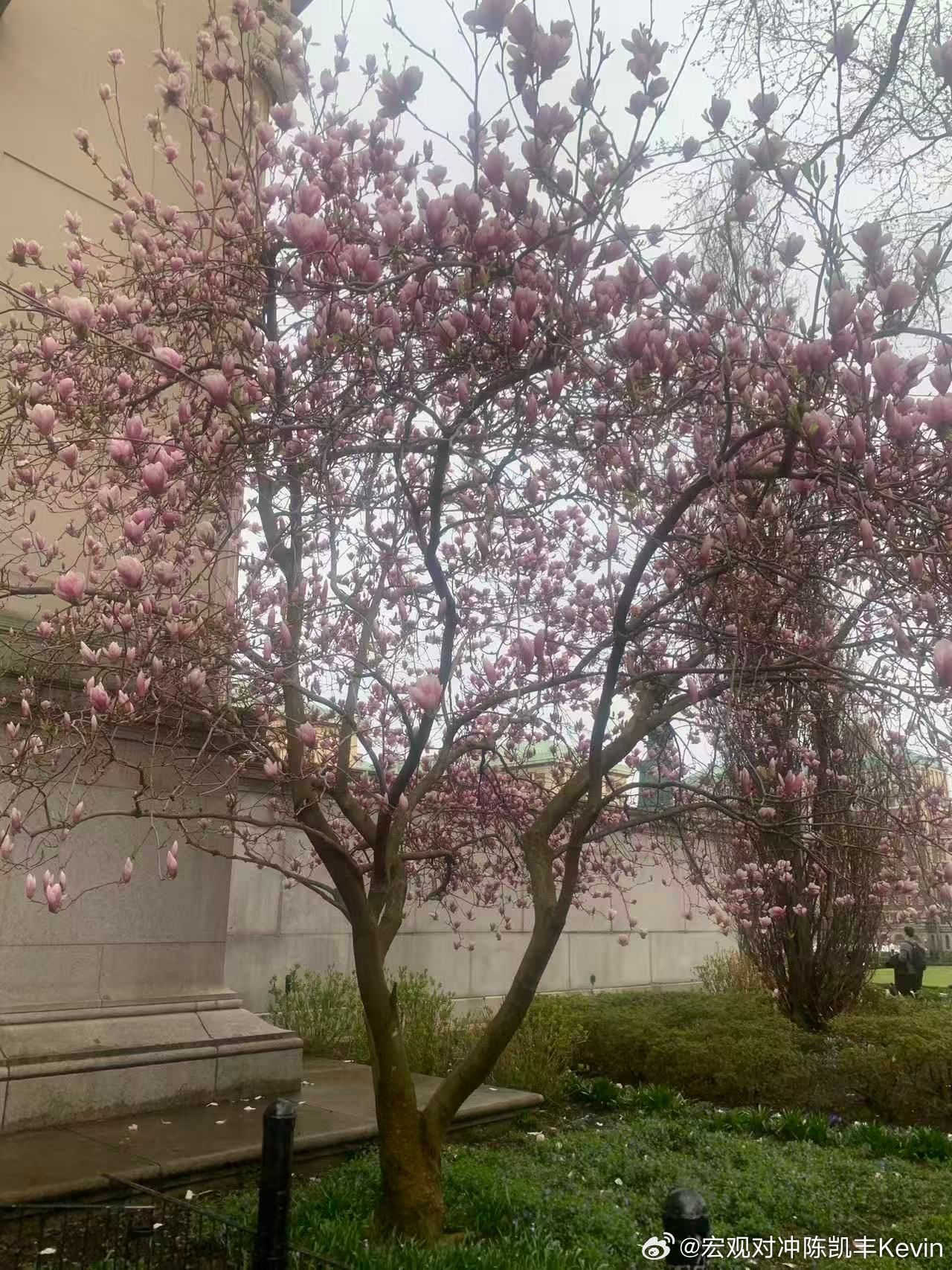 哥伦比亚大学全球可持续发展峰会小组讨论摘要附后，各种中美议题讨论人工智能的发展，