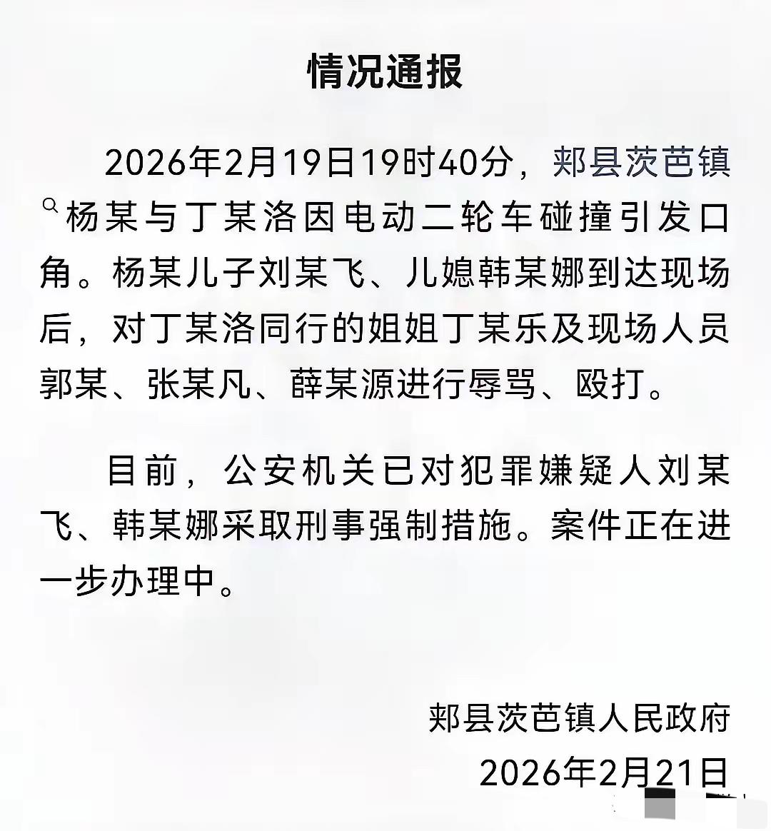 首先给郏县政府点赞，事件发生才几天就有结果了，希望下一步更快把事情处理完毕，打人