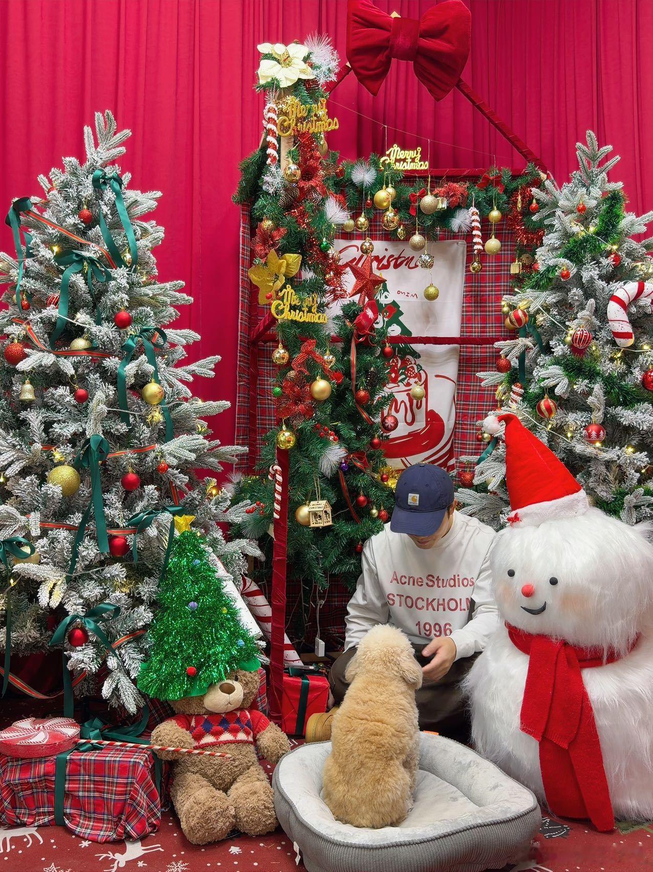 🎄深圳咖啡馆圣诞氛围浓度10000%叶绿花艺圣诞节新皮肤已就位飘雪好美❄️🥺