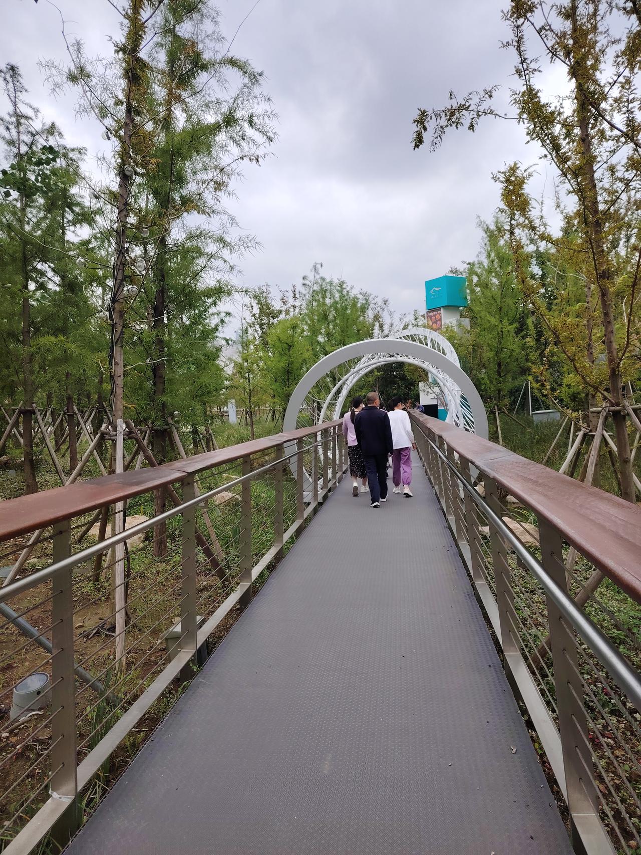 哪里来的自信？女生上台相亲，开口提的四个条件，震惊全场！王婆的眼神告诉姑娘，许愿