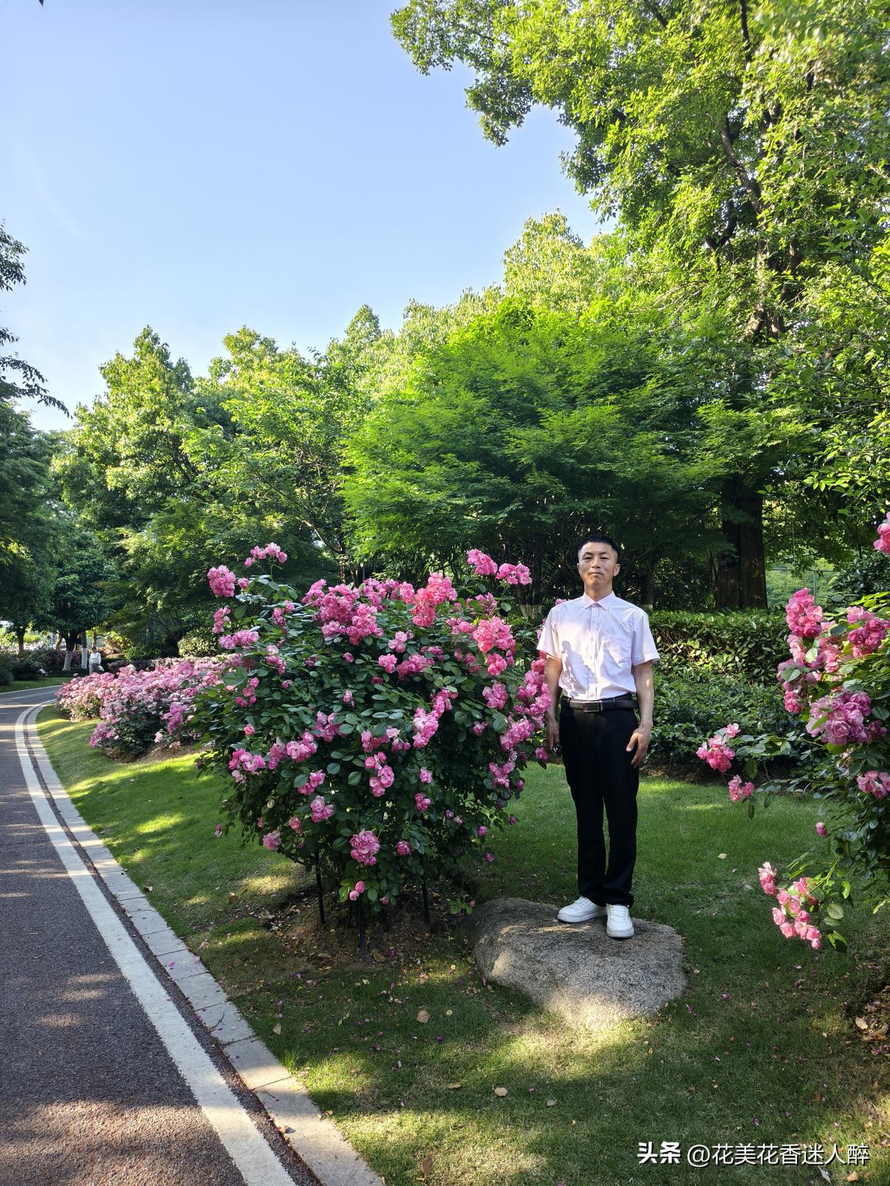 杭州余杭区五常北部园区公园美景