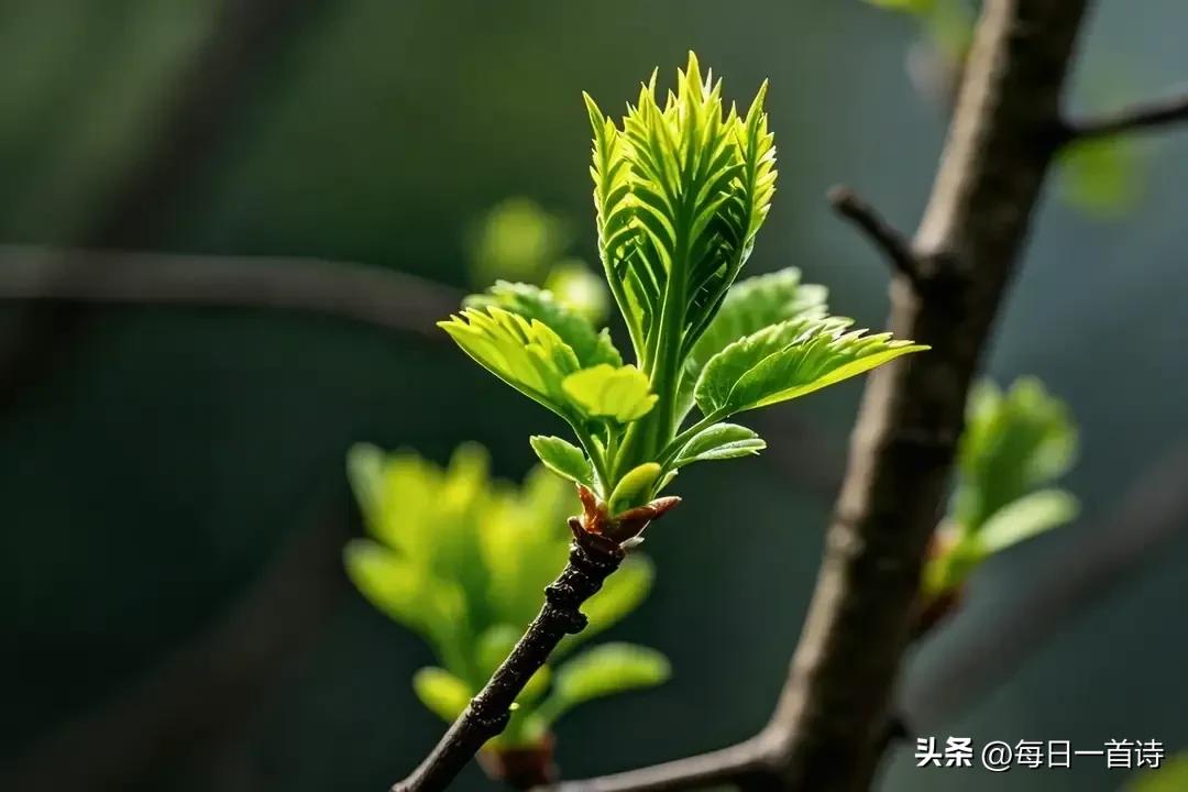一棵开花的树


　　如何让我遇见你

　　在我最美丽的时刻

　　为这我已在佛