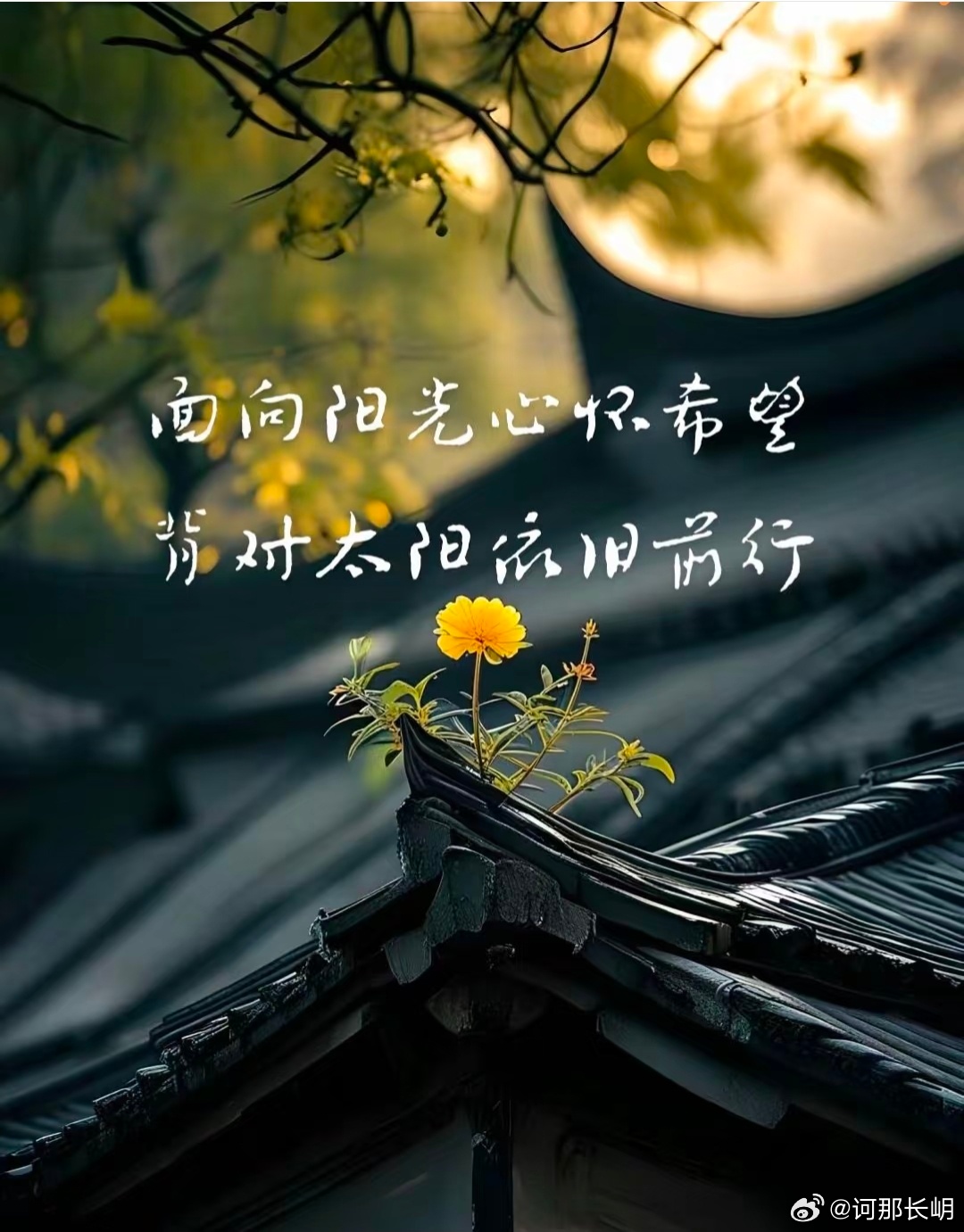 莫以善小而不为，日行一善，聚沙成塔，积水成渊。每一个微不足道的善举，都蕴含着改变