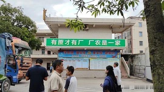 对农民超有爱心糖厂老板陈耀，他是广东茂名化州市平定大岭村人，茂名耀明企业集团董事