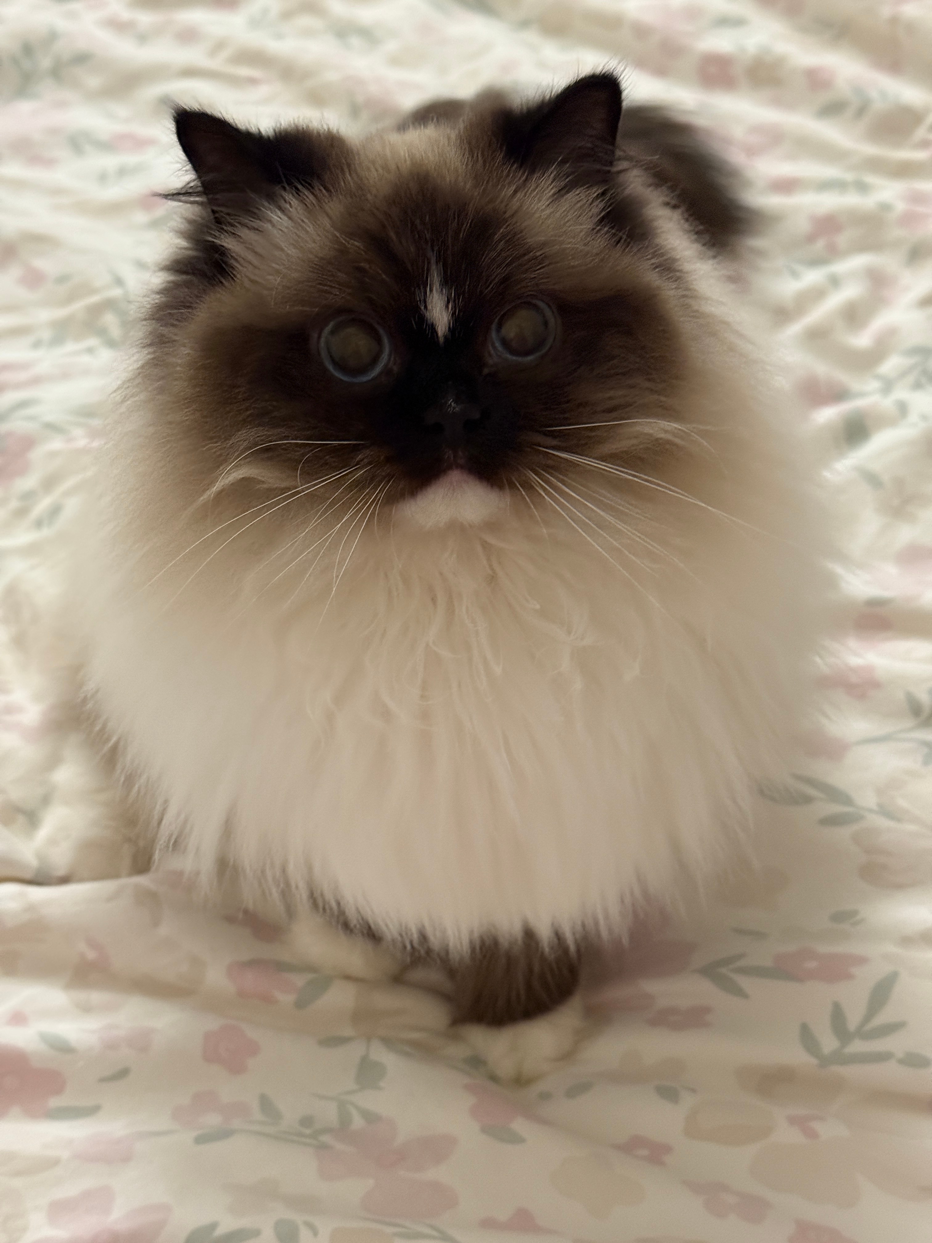 炊炊呀，越来越美啦（家长） 